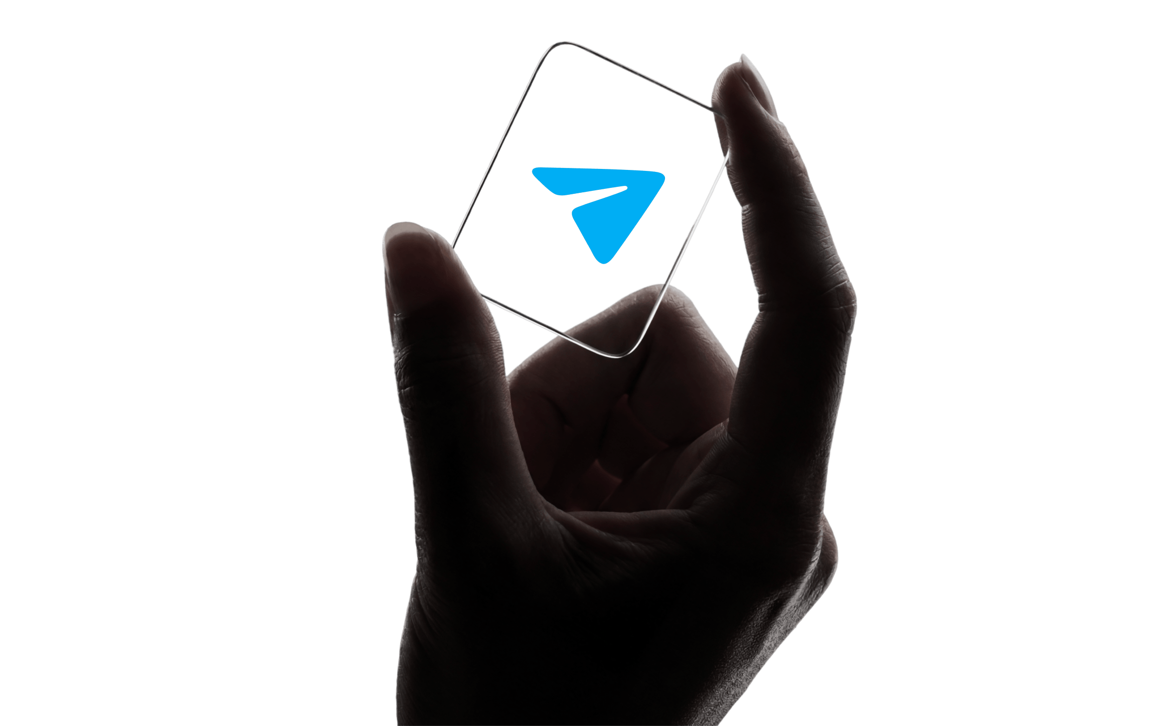 Telegram Support
