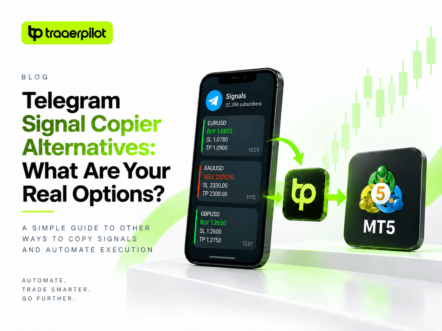 Telegram Signal Copier Alternatives: What Are Your Real Options?